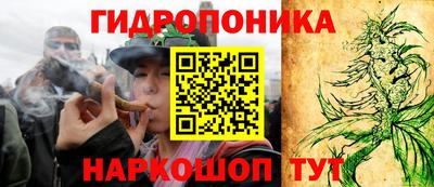 ПСИЛОЦИБИНОВЫЕ ГРИБЫ Среднеуральск