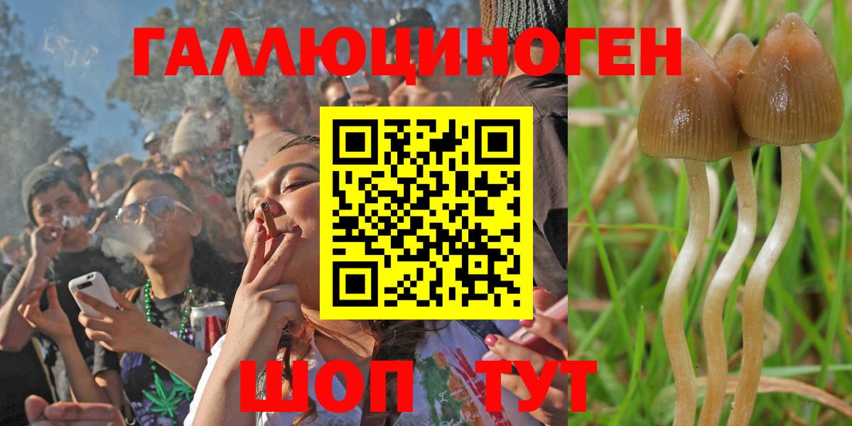 Нурлат  Псилоцибиновые грибы мицелий  Вход с VPN 
