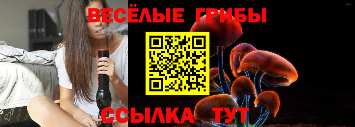 Псилоцибиновые грибы GOLDEN TEACHER Нурлат